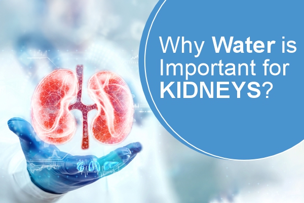 Why Water is Important for KIDNEYS?