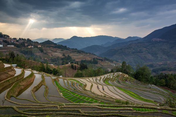 Terrace Farming