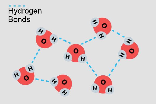 Hydrogen Bonding in Water Molecules